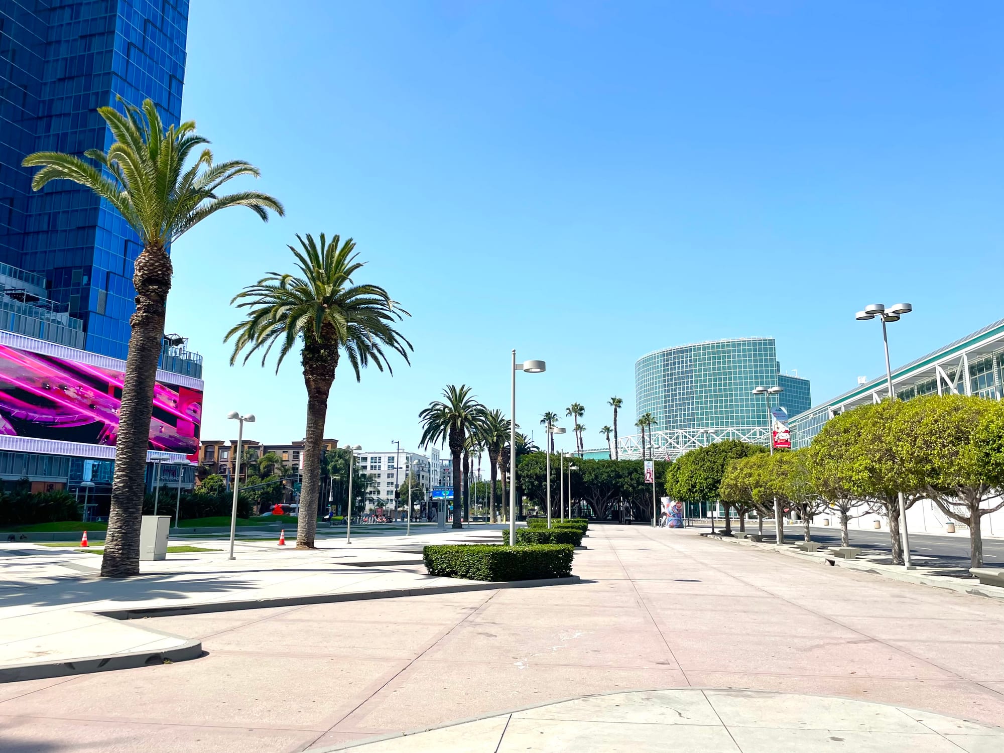 A desolate plaza with few trees and lots of concrete in front of the convention center, with a large hotel across the street
